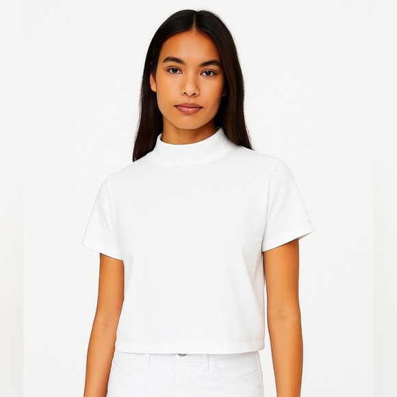 Babaton Tops - Babaton Aritzia top
